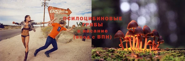 ешки Алексин
