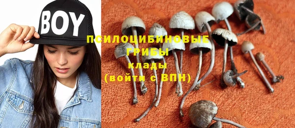 PSILOCYBIN Алзамай