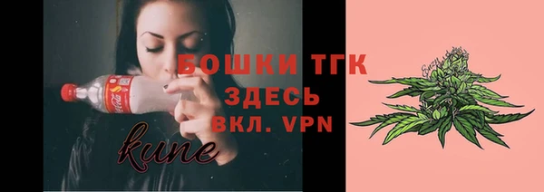 PSILOCYBIN Алзамай