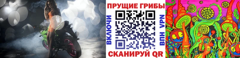 blacksprut ONION  Сокол  Псилоцибиновые грибы Psilocybe 
