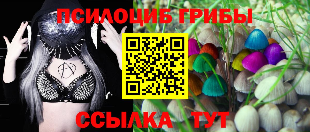 Сокол  Псилоцибиновые грибы MAGIC MUSHROOMS  Вход с VPN 