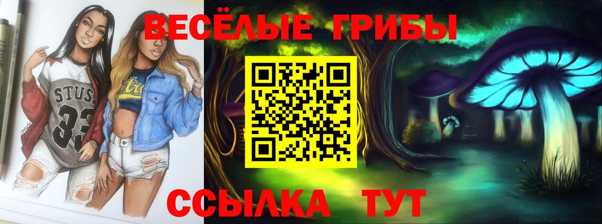 Псилоцибиновые грибы ЛСД Сокол